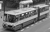 Dziwne losy 520. Linia skończyła 50 lat