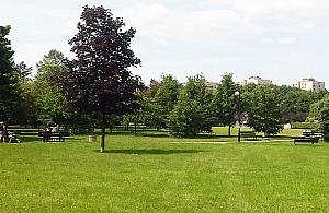 Jak ożywić park Bródnowski? "Pomalujmy ławki"