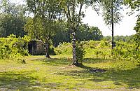 Oczko wodne i polany piknikowe w Lesie Bemowo. "Ma to być dobro społeczne"