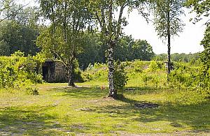 Oczko wodne i polany piknikowe w Lesie Bemowo. "Ma to być dobro społeczne"