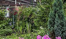 Najładniejszy ogródek Warszawy? Na Targówku