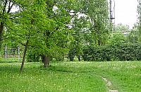 Drugi park na Jelonkach. Ruszają konsultacje