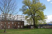 Odolany maj� sw�j pomnik