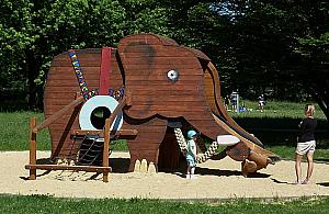 Inwazja bielańskich słoni? Drugi stanie na Wawrzyszewie