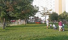 Inwazja bielańskich słoni? Drugi stanie na Wawrzyszewie