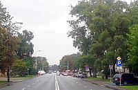 Żeromskiego: słupki i zieleń kontra parkingi?