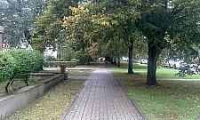 Żeromskiego: słupki i zieleń kontra parkingi?