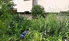 Leniwi lokatorzy bloków. Z okien lecą butelki