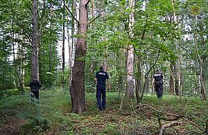 Zgubił się podczas grzybobrania. Noc spędził w lesie