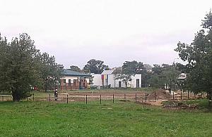 Znów budują na Nowodworach. "Wychodzę z psem a tu takie cuda"