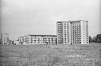 Serek pół wieku temu