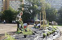 Gibalak ma pi�kny skwer. To prezent od dewelopera