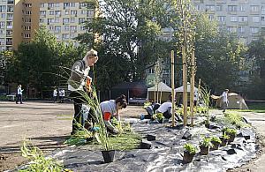 Gibalak ma piękny skwer. To prezent od dewelopera