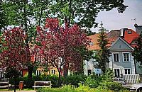 Czas na bielańską "starówkę". Przed nami rewolucja