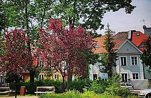 Czas na bielańską "starówkę". Przed nami rewolucja