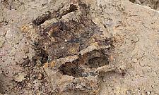 Ciekawe znaleziska podczas budowy metra