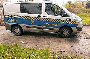 Strażnicy miejscy zajrzą do domów. Sprawdź, gdzie będą kontrole