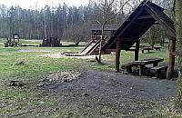 Nowy park leśny na Targówku. Pieniądze wyłoży Unia
