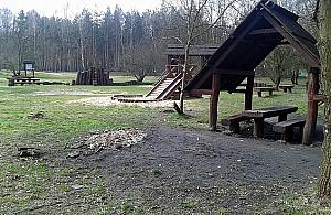 Nowy park leśny na Targówku. Pieniądze wyłoży Unia