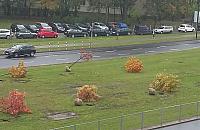 Były drzewa, będzie parking. "Samochód to nie Bóg"