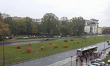 Były drzewa, będzie parking. "Samochód to nie Bóg"