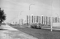 Ogórkiem na Ugory, czyli jak to było z linią 120