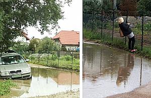 Pech Czterolistnej Koniczynki. Takich ulic mamy 145