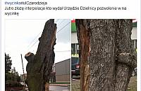 "Wycinaj� drzewa!". Polityczna gra na emocjach