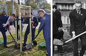 Panowie w garniturach posadzili drzewa. Towarzysz Gierek powrócił
