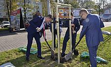 Panowie w garniturach posadzili drzewa. Towarzysz Gierek powrócił