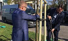 Panowie w garniturach posadzili drzewa. Towarzysz Gierek powrócił