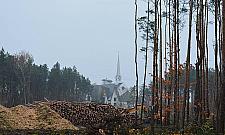 Tną na potęgę. Czyszczenie terenu pod obwodnicę