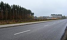 Tną na potęgę. Czyszczenie terenu pod obwodnicę