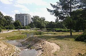 Deszcz pieniędzy dla Woli. Rekordowy budżet