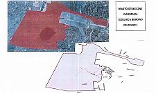 Będą strzelać w mieście. Ruszają polowania na dziki