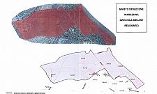 Będą strzelać w mieście. Ruszają polowania na dziki