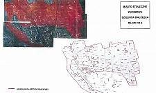 Będą strzelać w mieście. Ruszają polowania na dziki