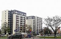 Kiedyś kopano tu glinę. Jelonki rosną w oczach