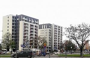 Kiedyś kopano tu glinę. Jelonki rosną w oczach