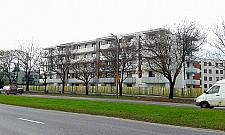 Kiedyś kopano tu glinę. Jelonki rosną w oczach