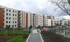 Kiedyś kopano tu glinę. Jelonki rosną w oczach