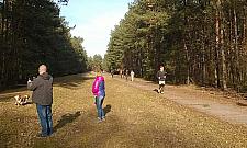 Choszczówka oburzona pomysłami dróg przez las