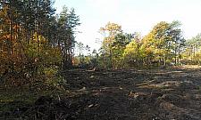 Obwodnica w budowie. Zamkną Patriotów na półtora roku?