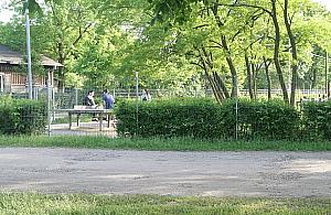 Nowy park dla Targówka. Przy ruchliwej trasie