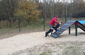 Psy z Bielan mają swój park rozrywki. "Jeden już jest, a będą trzy"