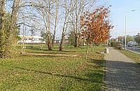 Zielone światło dla Ogrodów Mehoffera