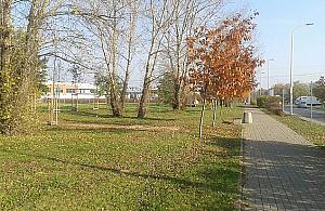 Zielone światło dla Ogrodów Mehoffera