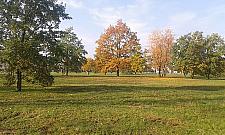 Zielone światło dla Ogrodów Mehoffera