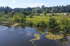 Druga tura konsultacji społecznych w sprawie Kanału Żereńskiego