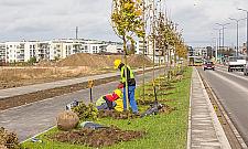 Lazurowa prawie gotowa. Co z autobusem do Ursusa?